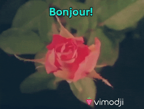 Bonjour tout le monde